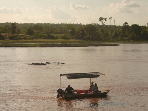 Safari Ruaha-Fluss