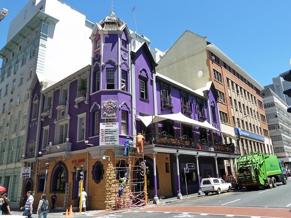 Purple Turtle