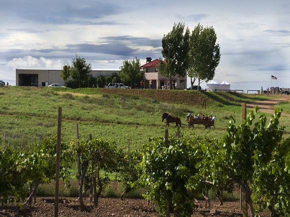 Weingut