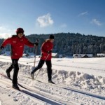 Scheidegg