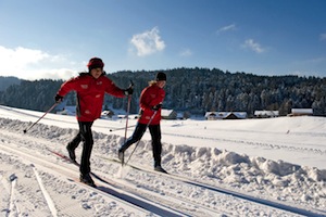 Scheidegg