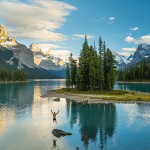 Alberta in Kanada