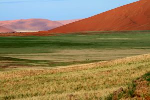 Green Season in Namibia
