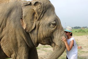 Larissa Gerlach mit einem Elefanten des SOS Agra Projekts in Indien. Bild © reisefieber-reisen GmbH