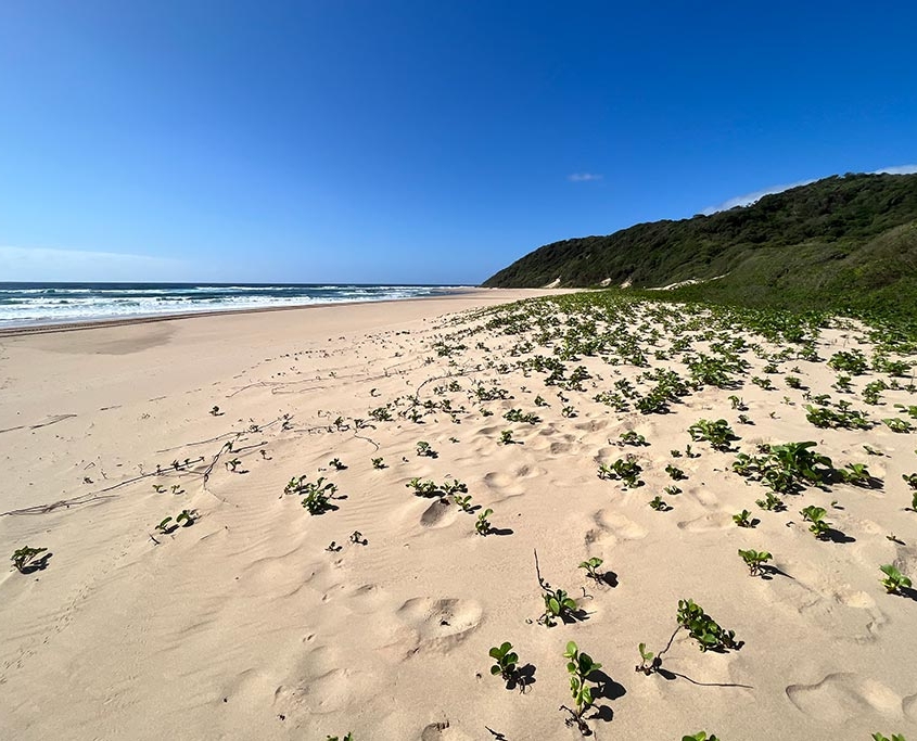 Workation-Suedafrika-Strand-KZN Workation Südafrika KwaZuluNatal Strand